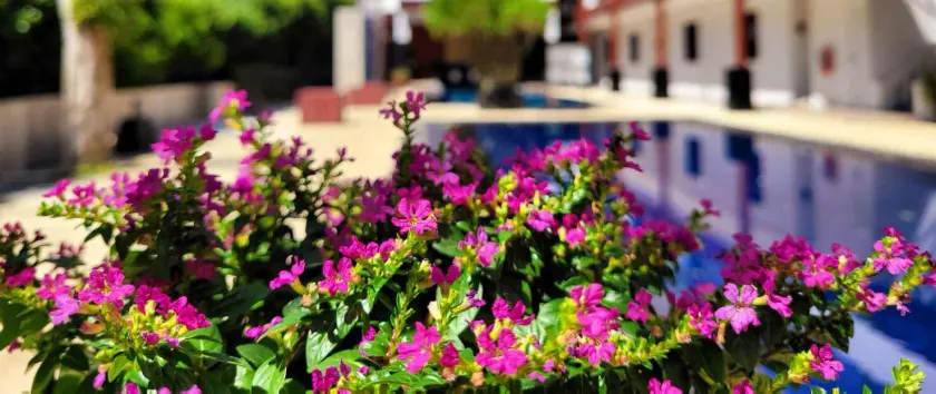 Surintra Boutique Resort - Image 1