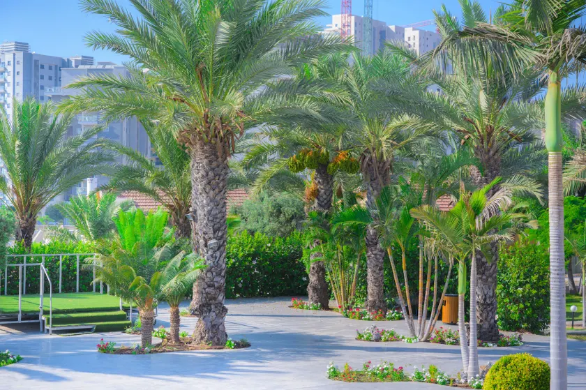 Agamim Hotel Ashkelon - Image 1