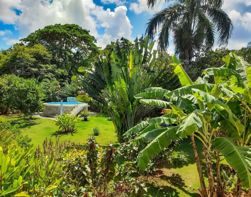 Labellaventura - Image 1