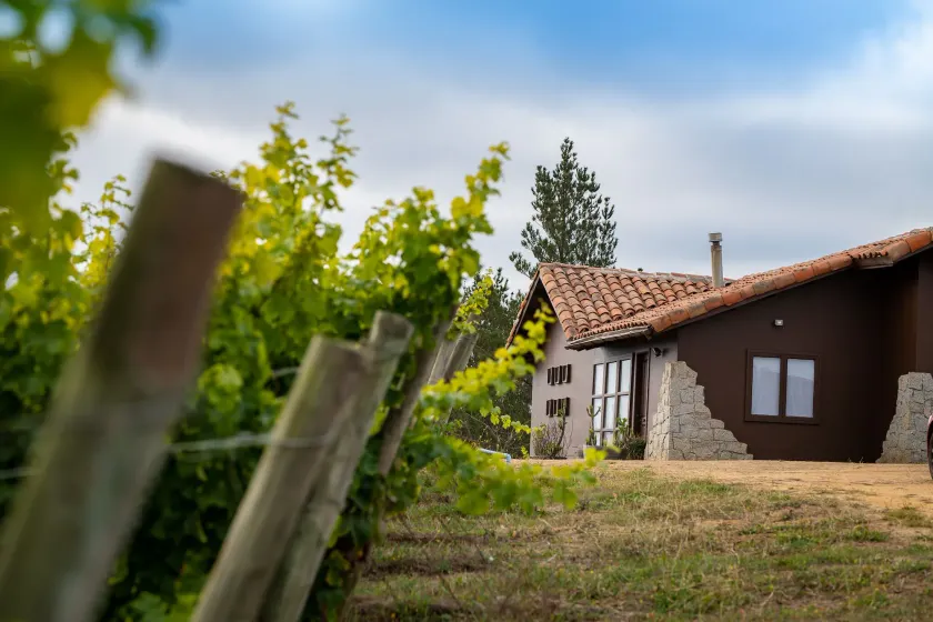 Villa Miramar at Casa Marin Vineyards - Image 1
