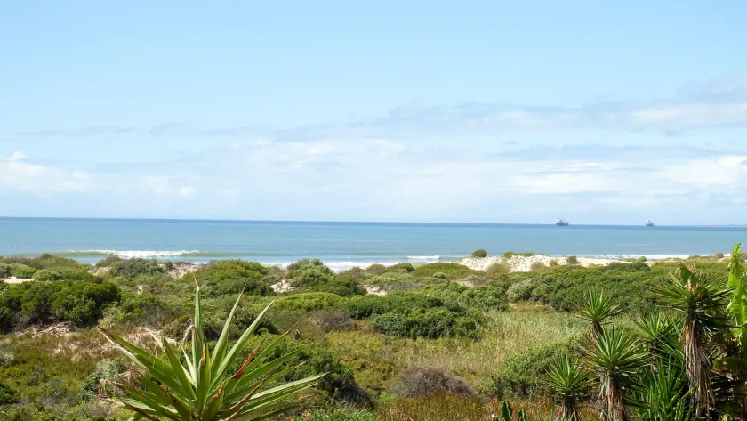 House Haven Guesthouse - Image 1