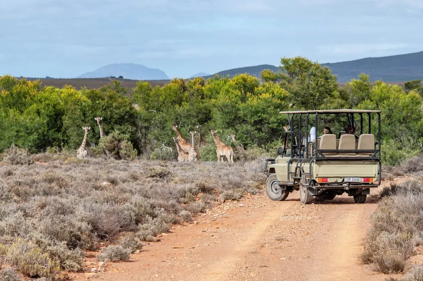 Mont Eco Game Reserve - Image 1