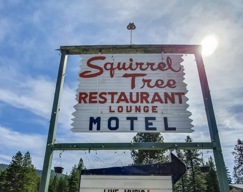 Squirrel Tree Resort - Image 1