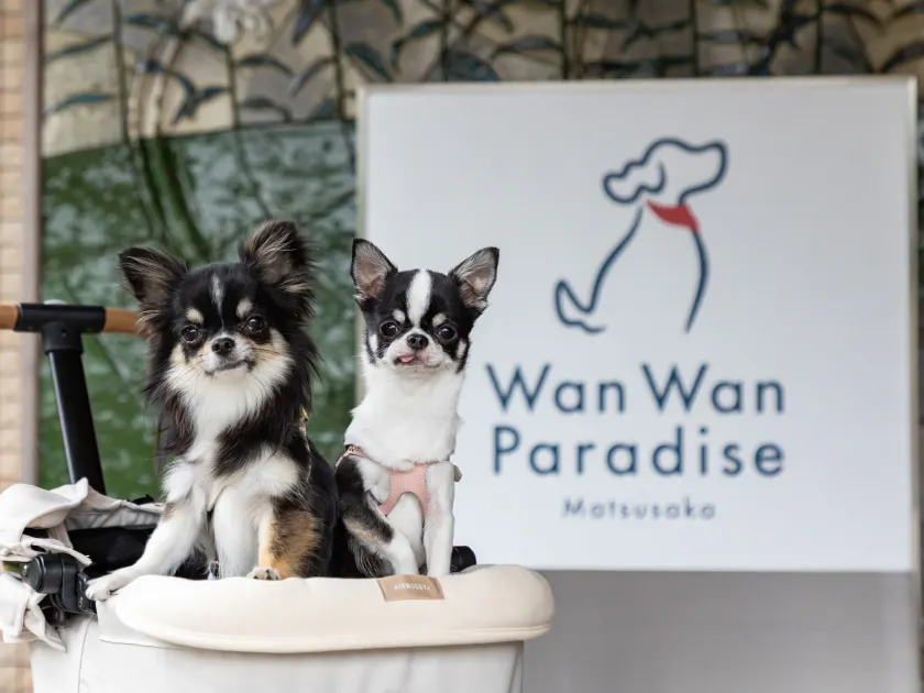 Wan Wan Paradise Matsusaka - Image 1