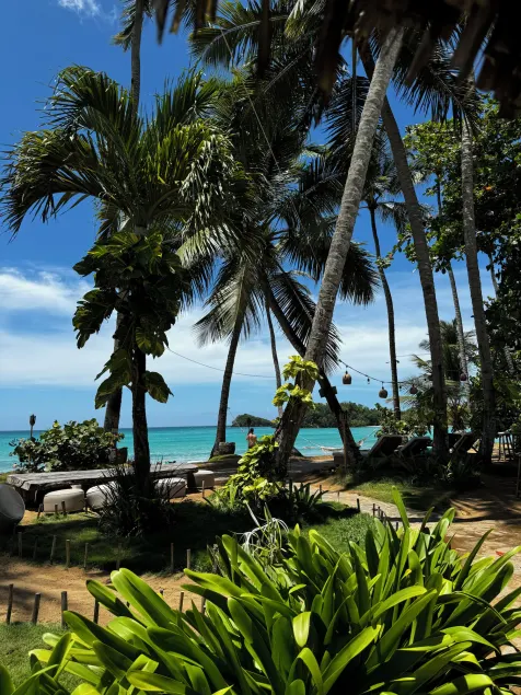 El Mosquito Boutique Hotel Playa Bonita - Image 1