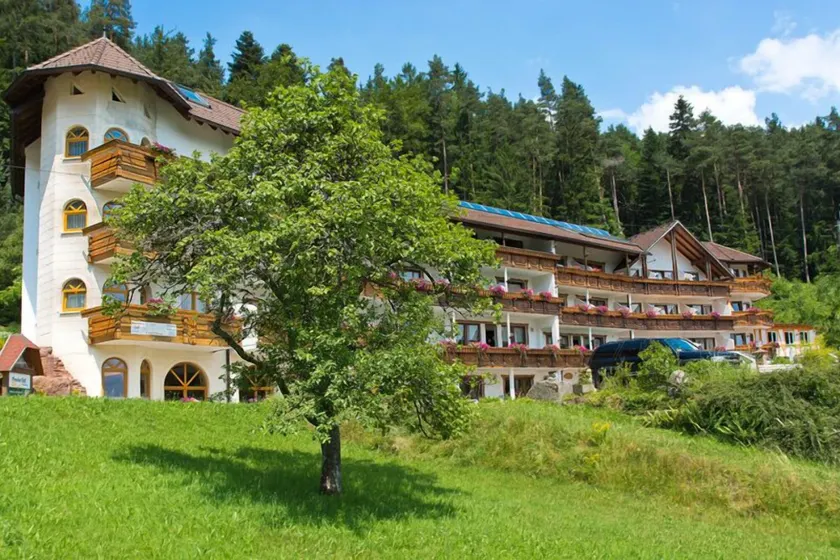 Wellnesshotel Basler Hof am Schlosswald - Image 1