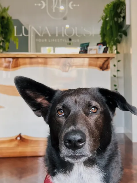 Luna House & Cowork - Rezeption