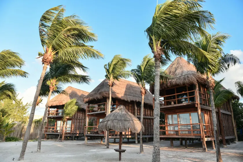 Blue Holbox - Image 1