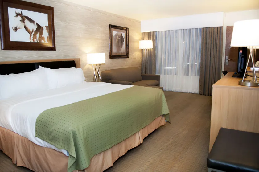 Holiday Inn Spearfish-Convention Center by IHG - Rum