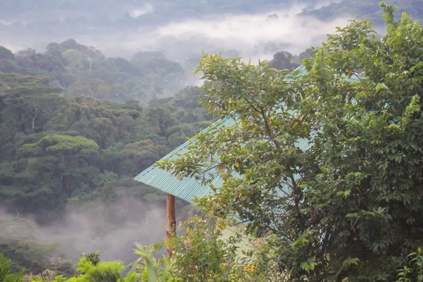 Bwindi Neckview Lodge - Image 1