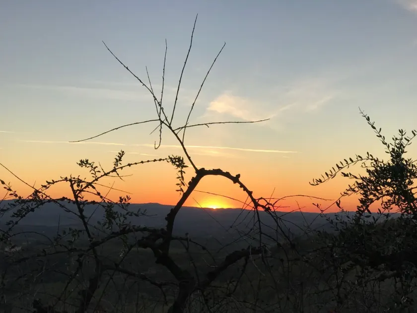 Urlaub im Herzen des Chianti - Image 1