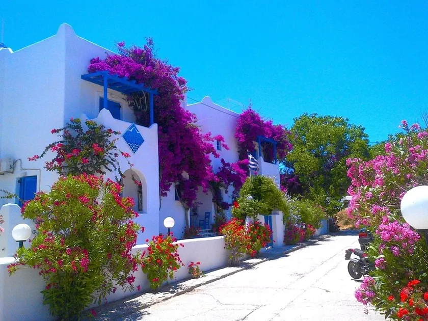Pelagos Studios - Image 1