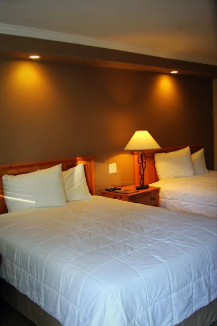 Tea Garden Lodge - Image 1