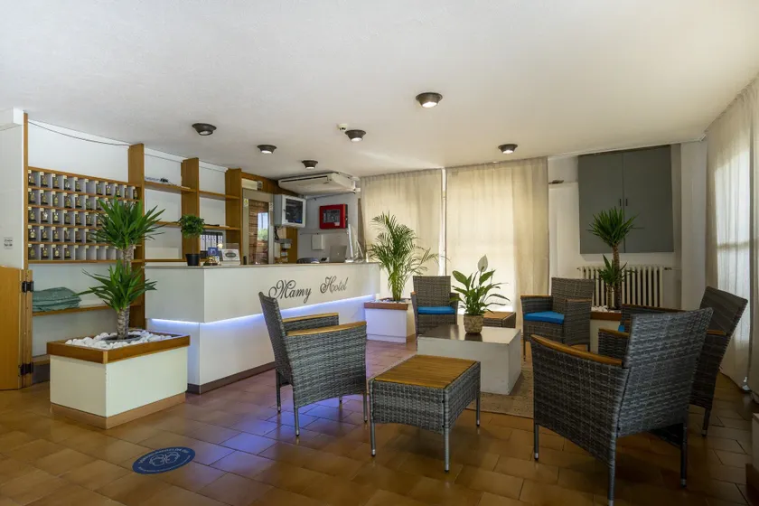 Hotel Mamy - Reception