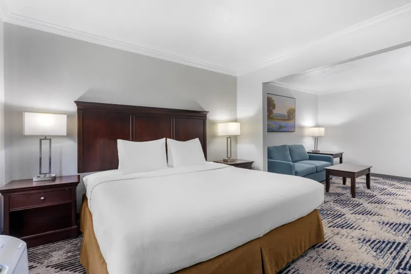 Best Western Plus Southpark Inn & Suites - Image 1