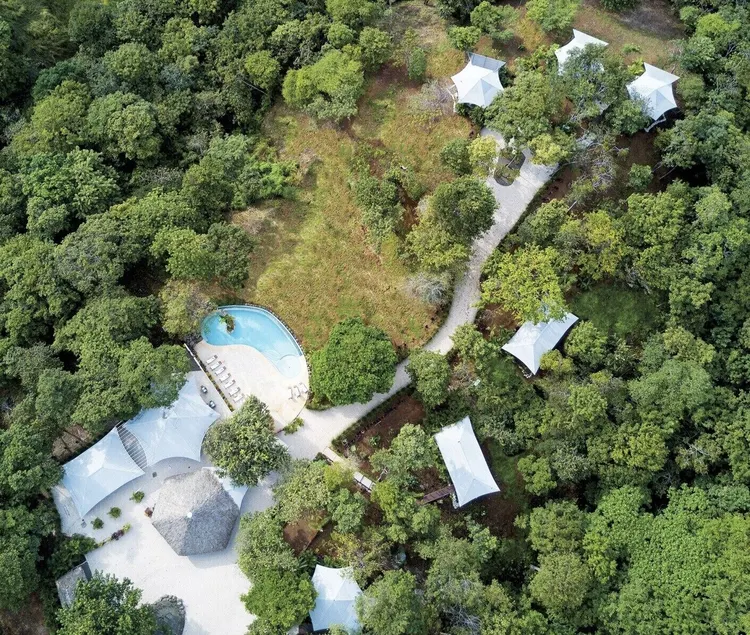 Mikado Natural Lodge - Image 1