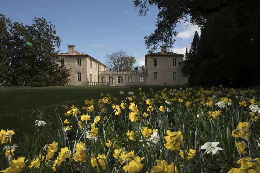 Château de Ferrand - Image 1