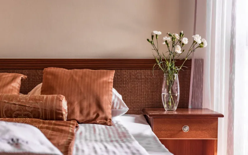 Villa Magnat SPA, JACUZZI, SAUNA, TĘŻNIA SOLANKOWA - Image 1