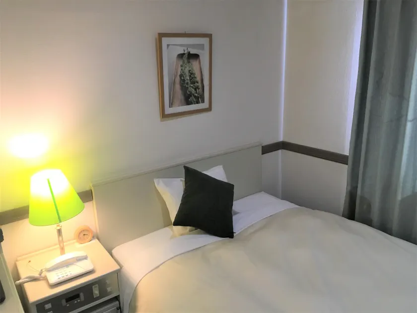 Matsumoto Wellton Hotel - Image 1