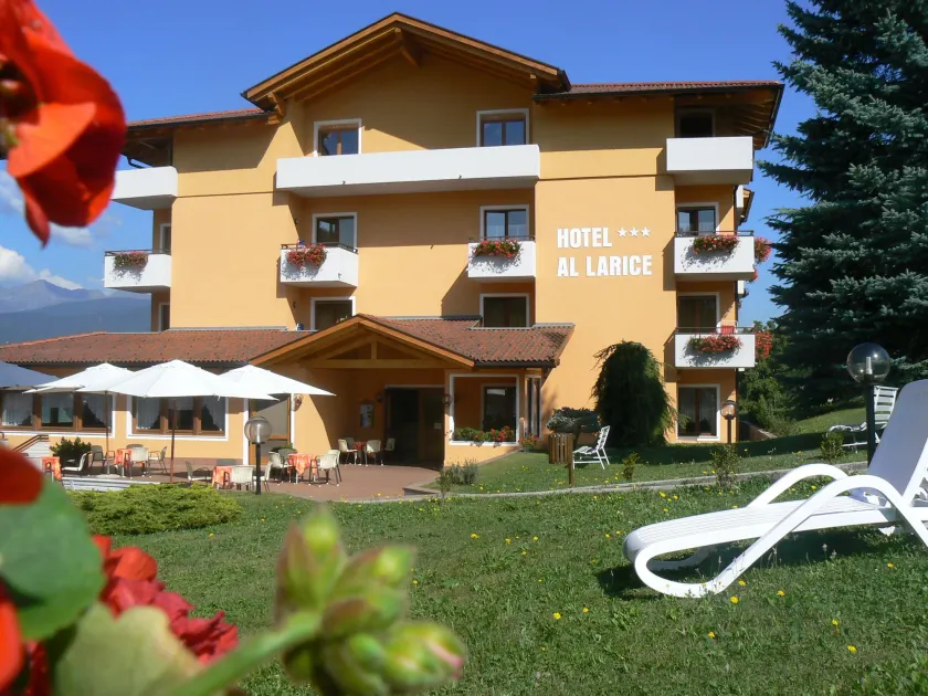 Hotel & Appartamenti Al Larice - Image 1