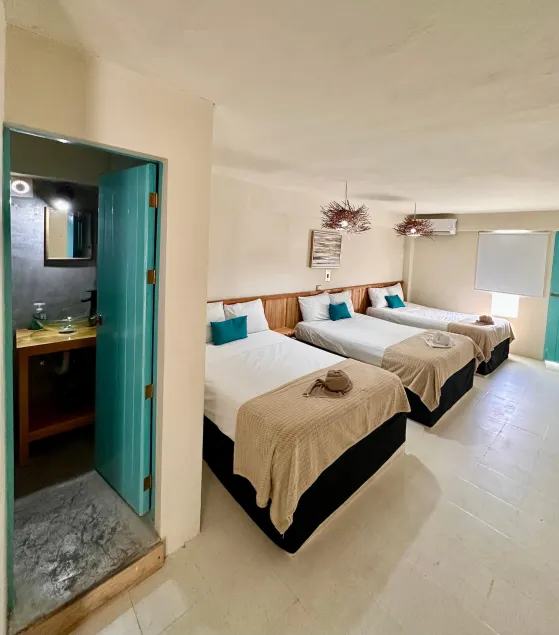 Hotel cacao spa cozumel - Image 1