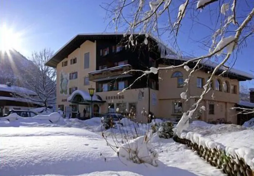 Alpenhotel Ernberg - Image 1