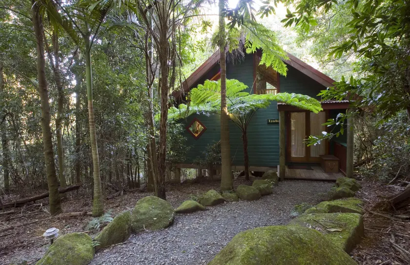 Springbrook Lyrebird Retreat - Image 1