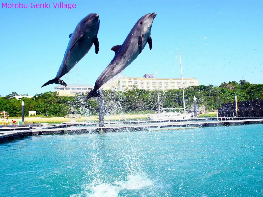 Marine Piazza Okinawa - Image 1
