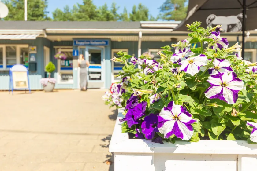 Yyteri Camping Cottages - Image 1