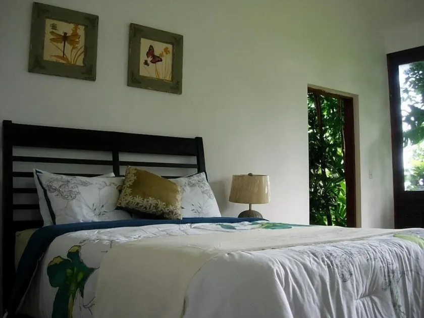 Serenity Rainforest Retreat - Zimmer