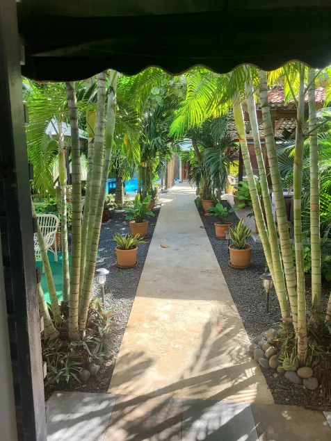 Green Oasis Hotel - Image 1