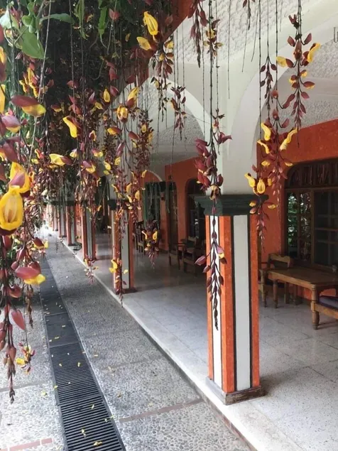 Posada de Don Jose - Image 1