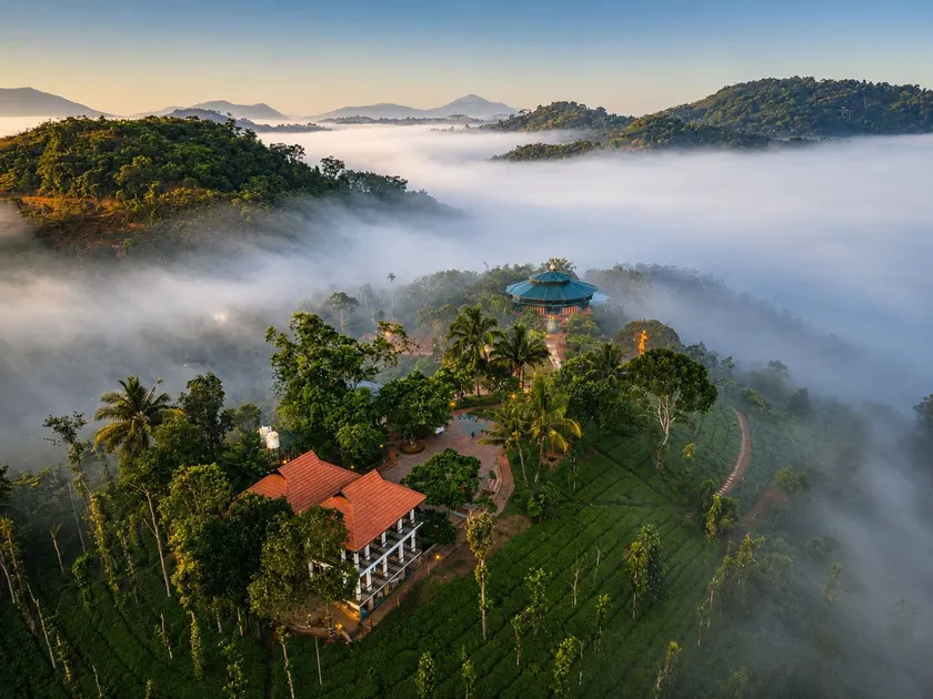 Jungle Edge Resort - Image 1