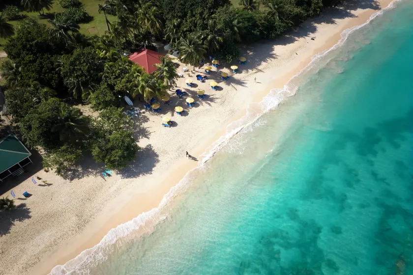 Mount Cinnamon Beach & Wellness Resort - Image 1