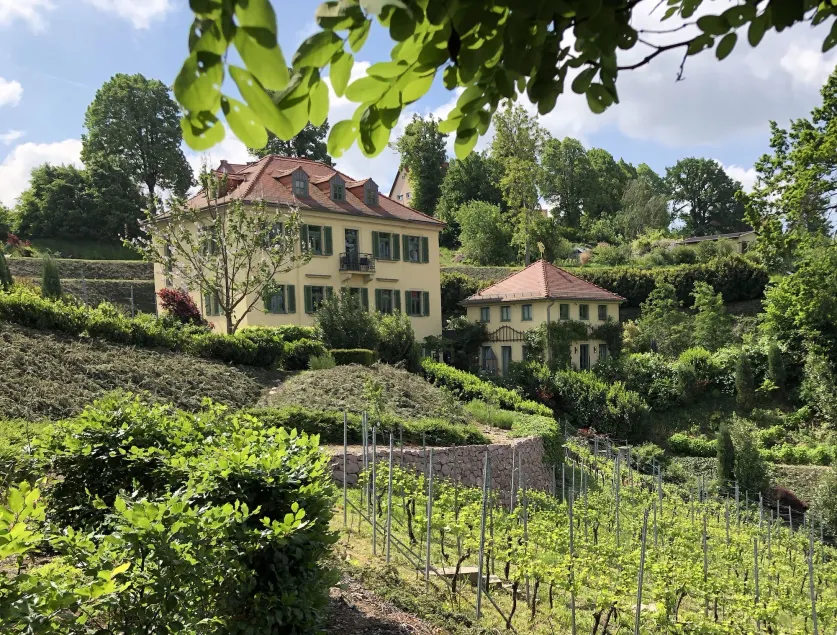 Rebenhaus Meißen - Image 1