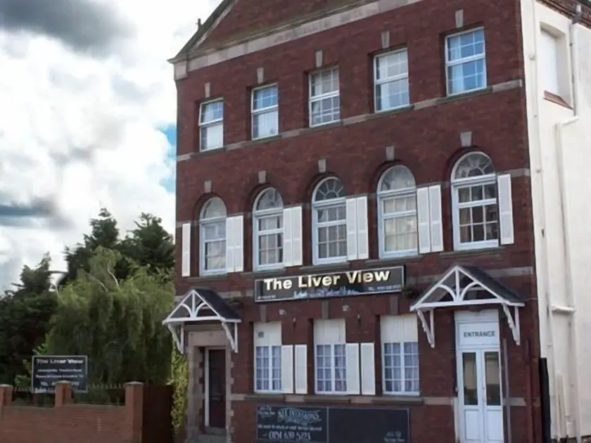 The Liver View - Image 1