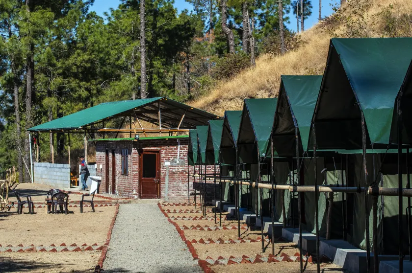 Jungle Stays - Image 1