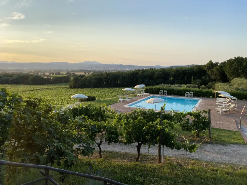 Poggio alle Vigne - Image 1