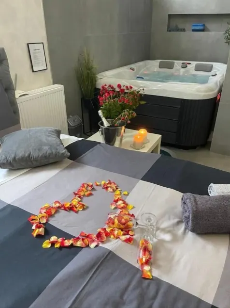 TEPIĆ Garni Hotel - Chambre