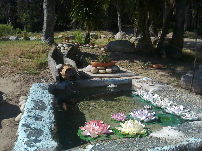 Cerrado do Cruzeiro - Image 1