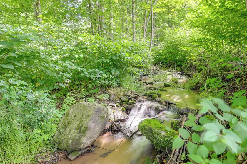 Best Getaway for 2 w/ Own Creek & Hot Tub - Innvendig