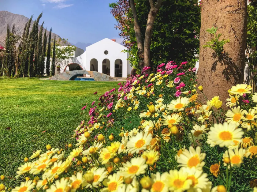 Casa Hotel Mamaluna - Image 1