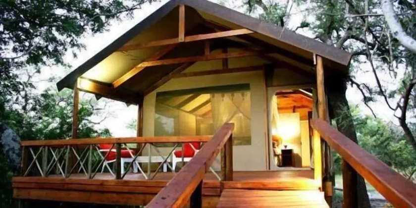 Lion Tree Top Lodge - Image 1