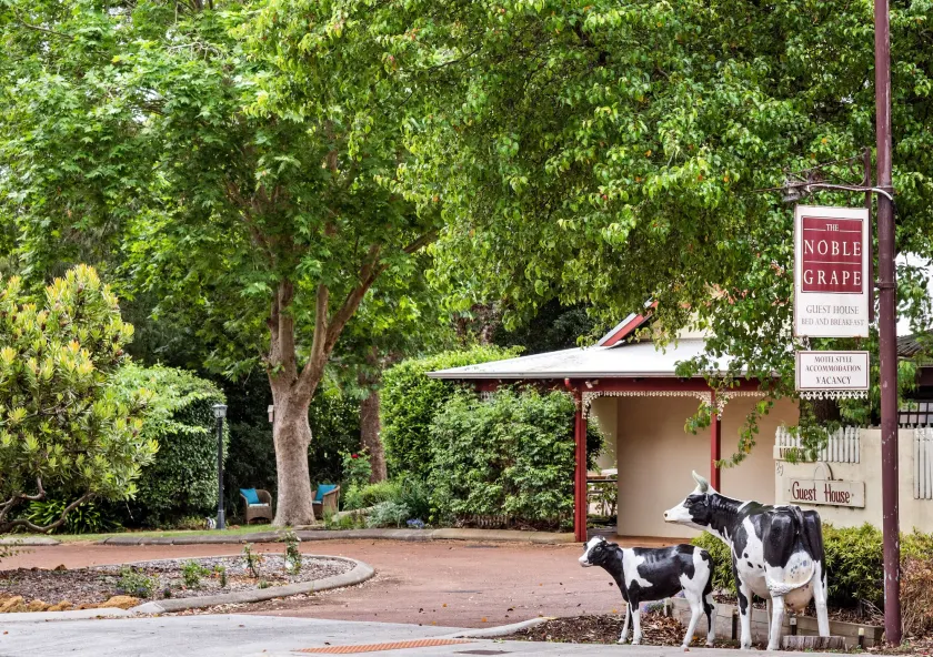 The Noble Grape Guesthouse - Image 1