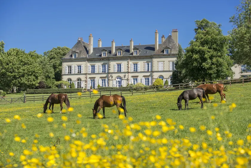 Château d'Ygrande - Image 1