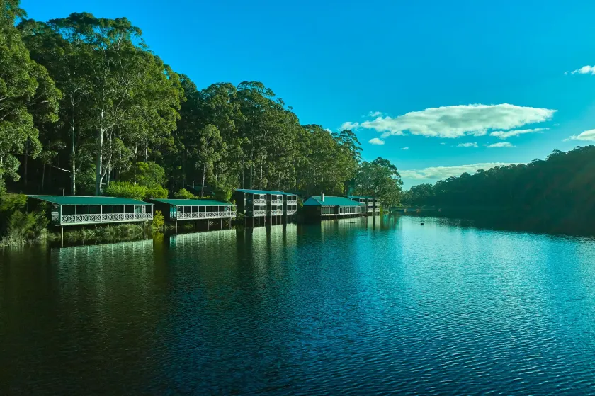 RAC Karri Valley Resort - Image 1