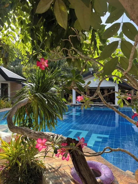 Deep Forest Garden Hotel - Image 1