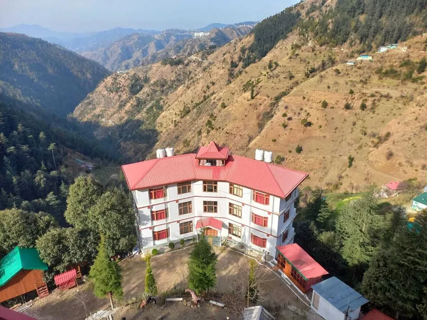 THE JUNGLE STORY - SHIMLA | BY HEADQUARTER - Image 1