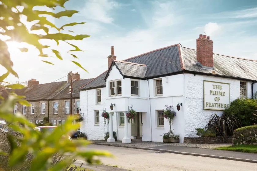The Plume of Feathers - Image 1