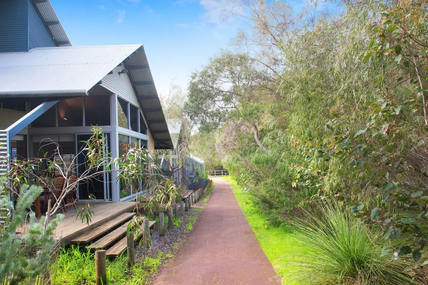 Peppy Tree House - Image 1